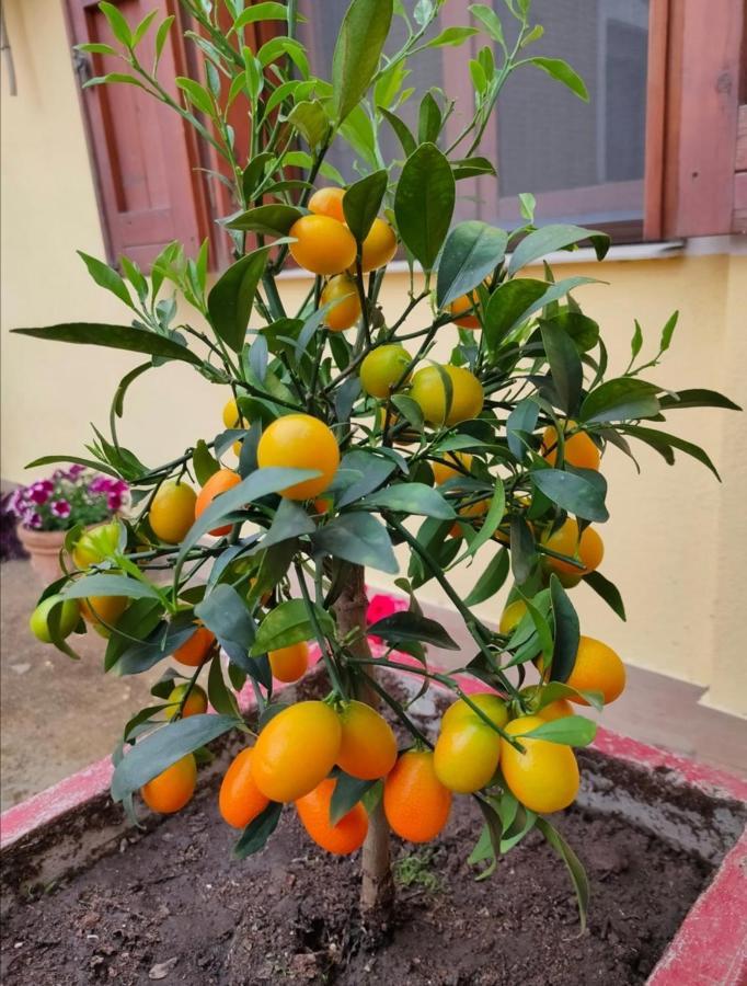 S'Alba Noa Hotel Quartu Sant'Elena Luaran gambar